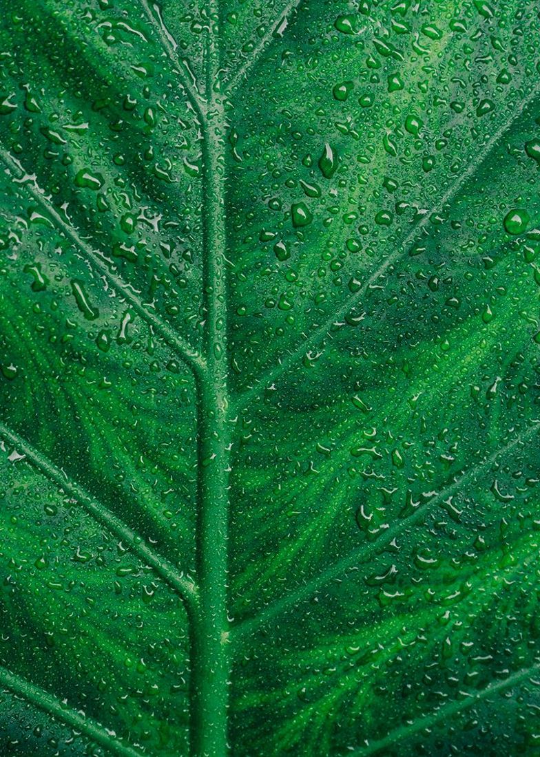 Always Green poster
