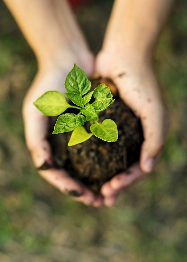 Think Green for Our Future poster