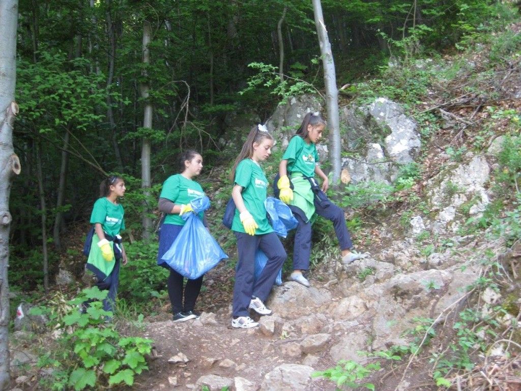 Always Green Campaign – photo 2