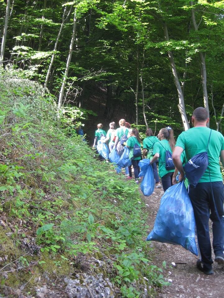 Always Green Campaign – photo 4