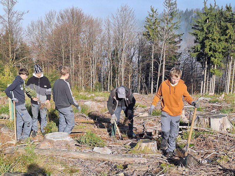 Planting in Austria